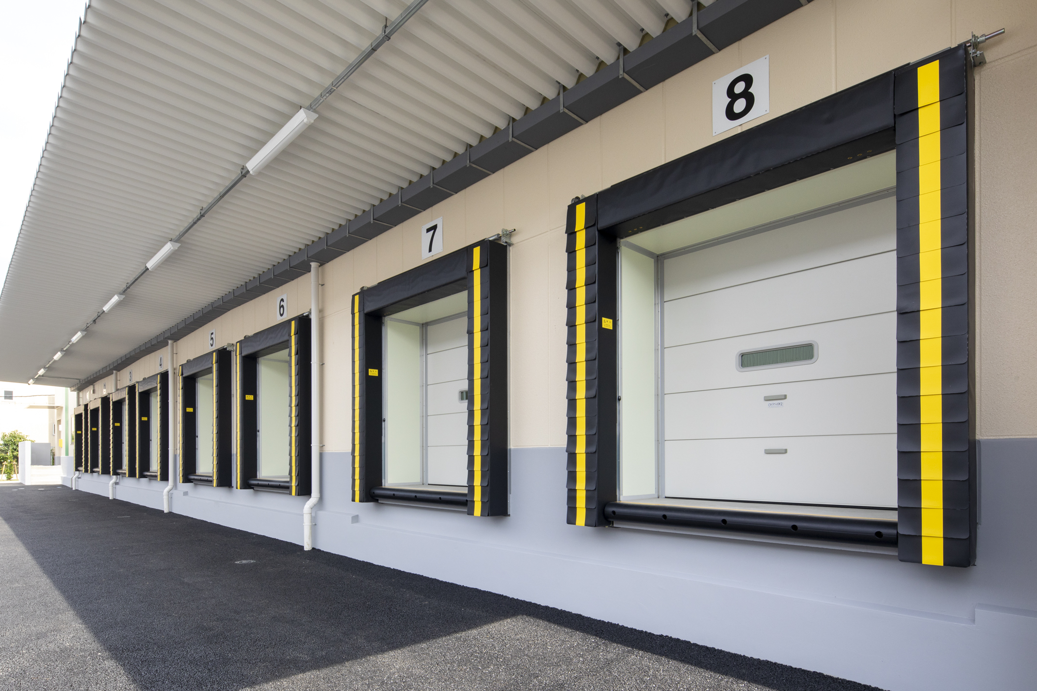 ドッグシェルター